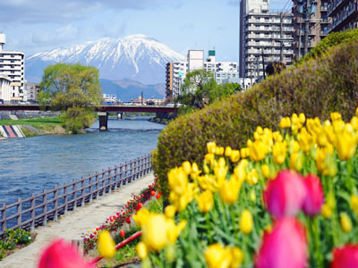 Morioka mountain backdrop